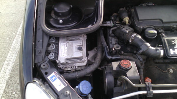 Fotos Motor Peugeot 206